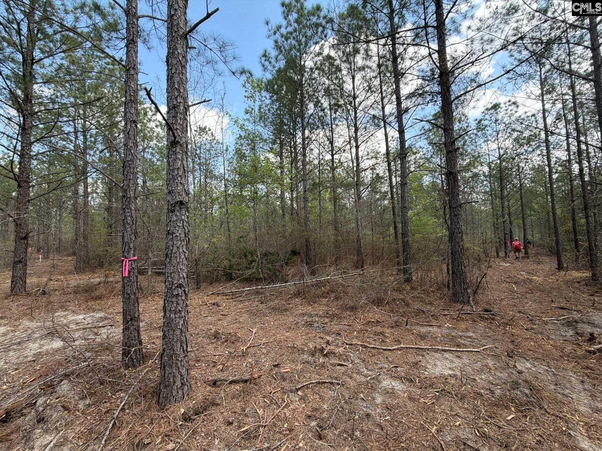 4 Mt Calvary Rd Ridge Spring Ridge Spring, SC 29129 - Photo 30 of 40