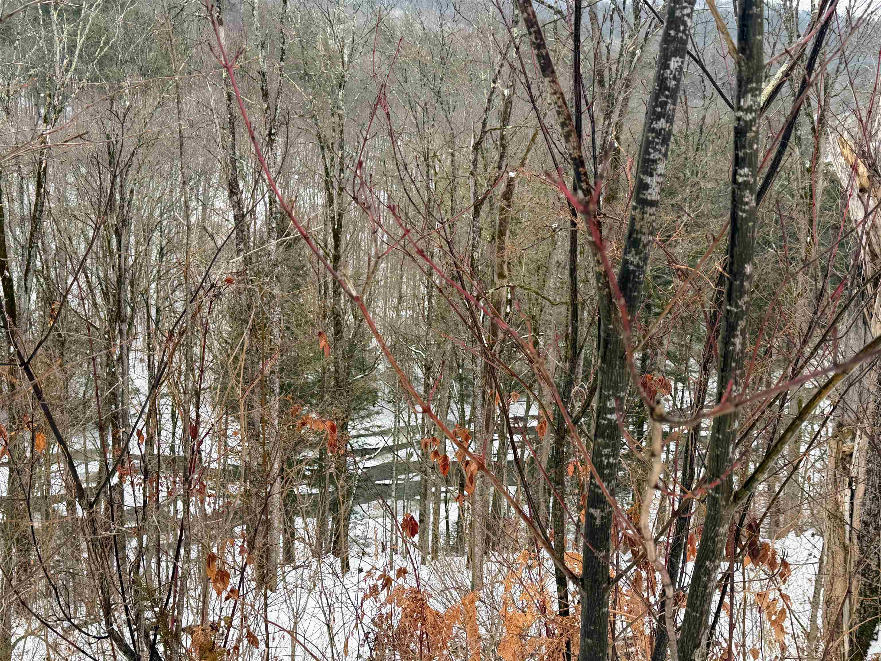 1153 Rockingham Road Rockingham, VT 05101 - Photo 25 of 26