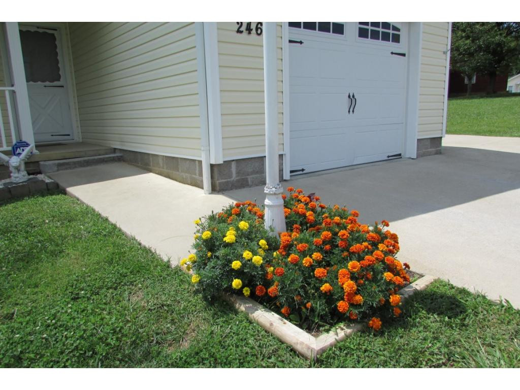 246 Ollie Collins Road Elizabethton, TN 37643 - Photo 26 of 33 Photo 26