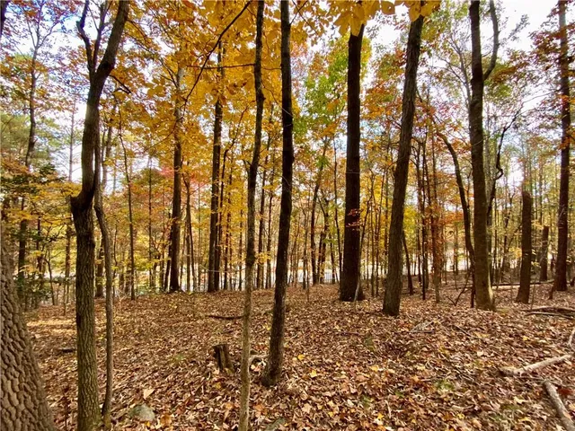 a view of outdoor space with street view