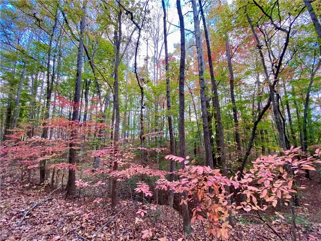 a view of a outdoor space with a tree