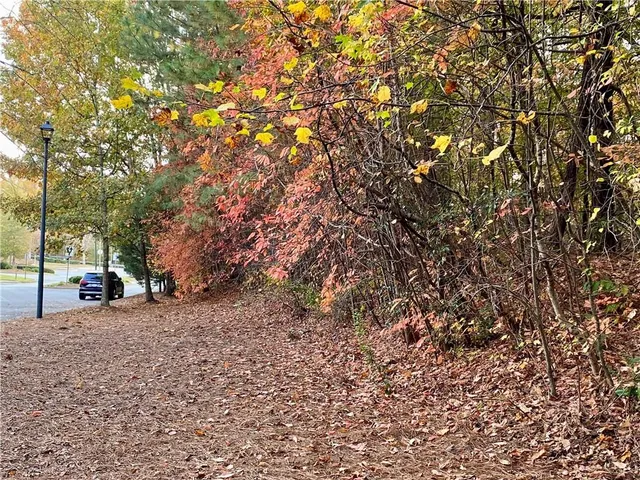 a view of a garden with flowers