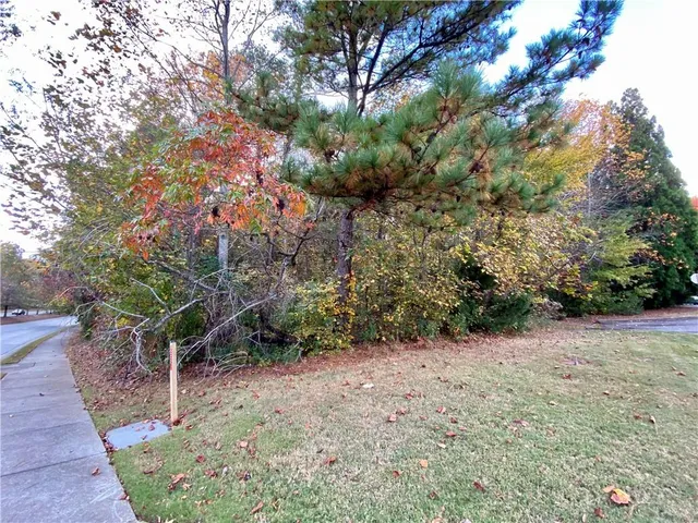 a picture of flowers