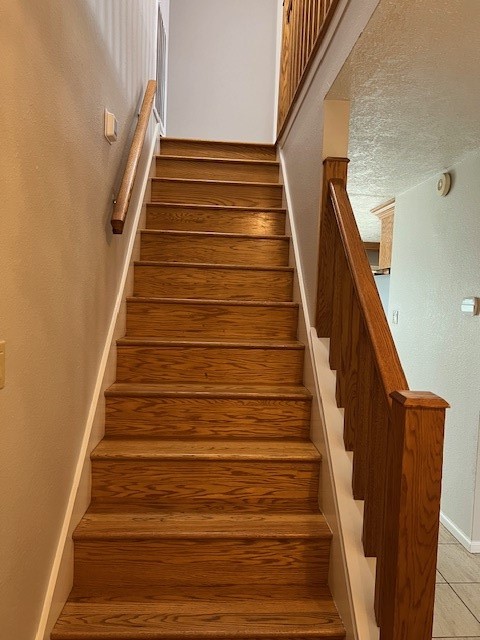 7407 Navidad Road Houston, TX 77083 - Photo 7 of 30