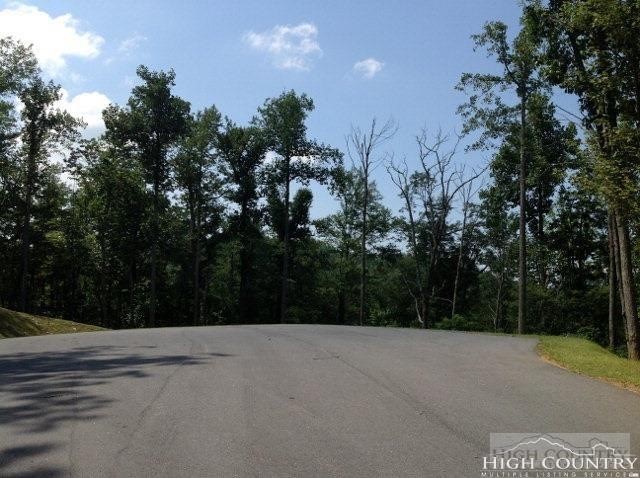 Lot 19 Boulder Cay Road Boone, NC 28607 - Photo 13 of 19 a view of a street