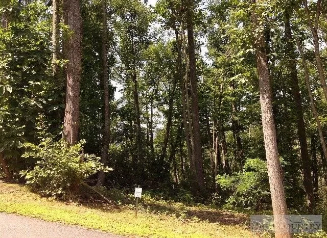 $85,000 | Lot 19 Boulder Cay Road, Boone, NC 28607