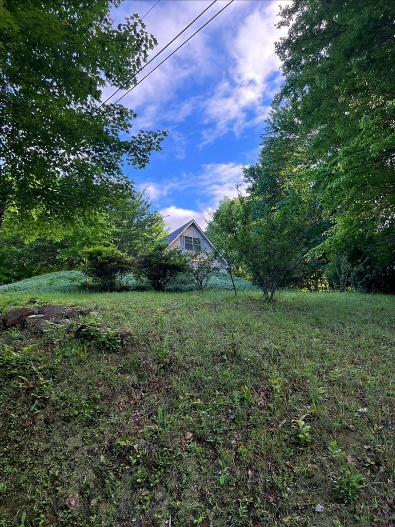 256 High Top Andrews, NC 28901 - Photo 3 of 35