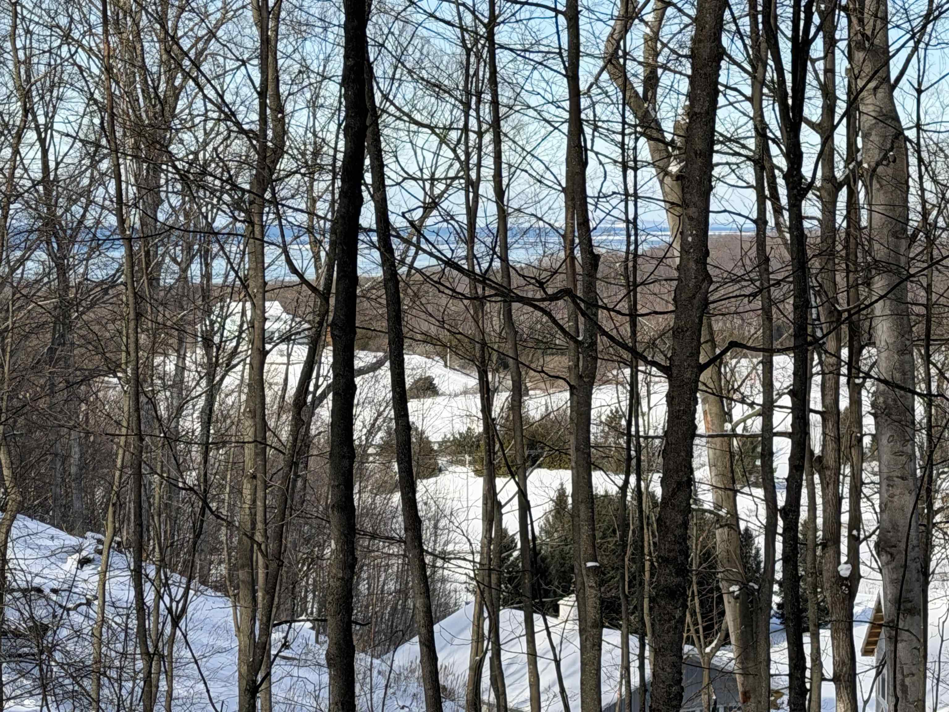 North Christianson Road Northport, MI 49670 - Photo 8 of 15