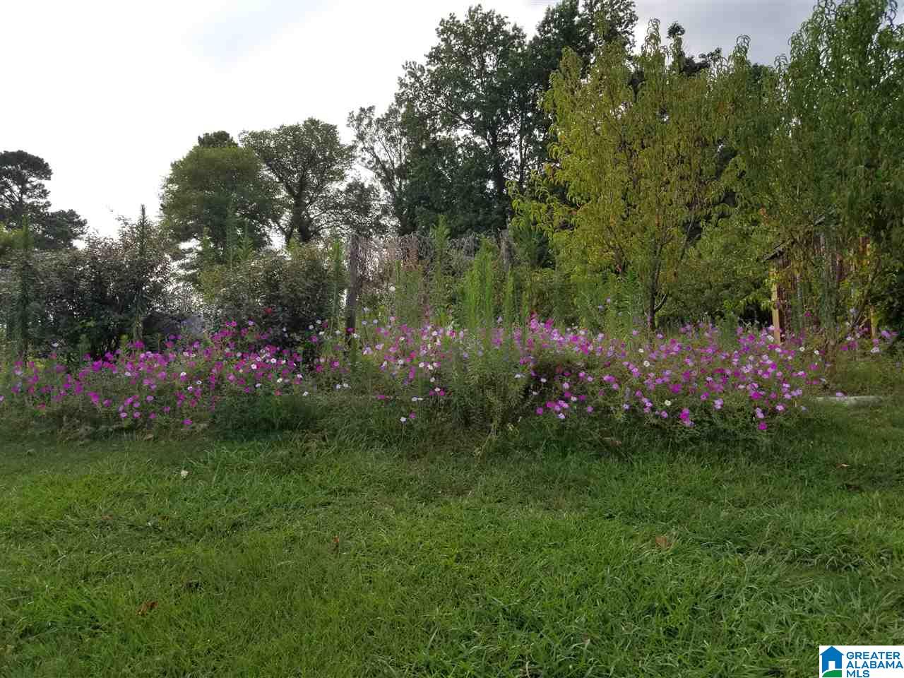 6461 Chandler Mountain Road Steele, AL 35987 - Photo 13 of 13