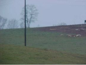 0 Gibson Road, Unit 38414445 Greeneville, TN 37743 - Photo 1 of 9 Photo 1