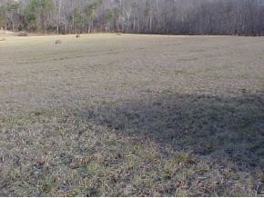 0 Gibson Road, Unit 38414445 Greeneville, TN 37743 - Photo 3 of 9 Photo 3