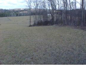 0 Gibson Road, Unit 38414445 Greeneville, TN 37743 - Photo 7 of 9 Photo 7
