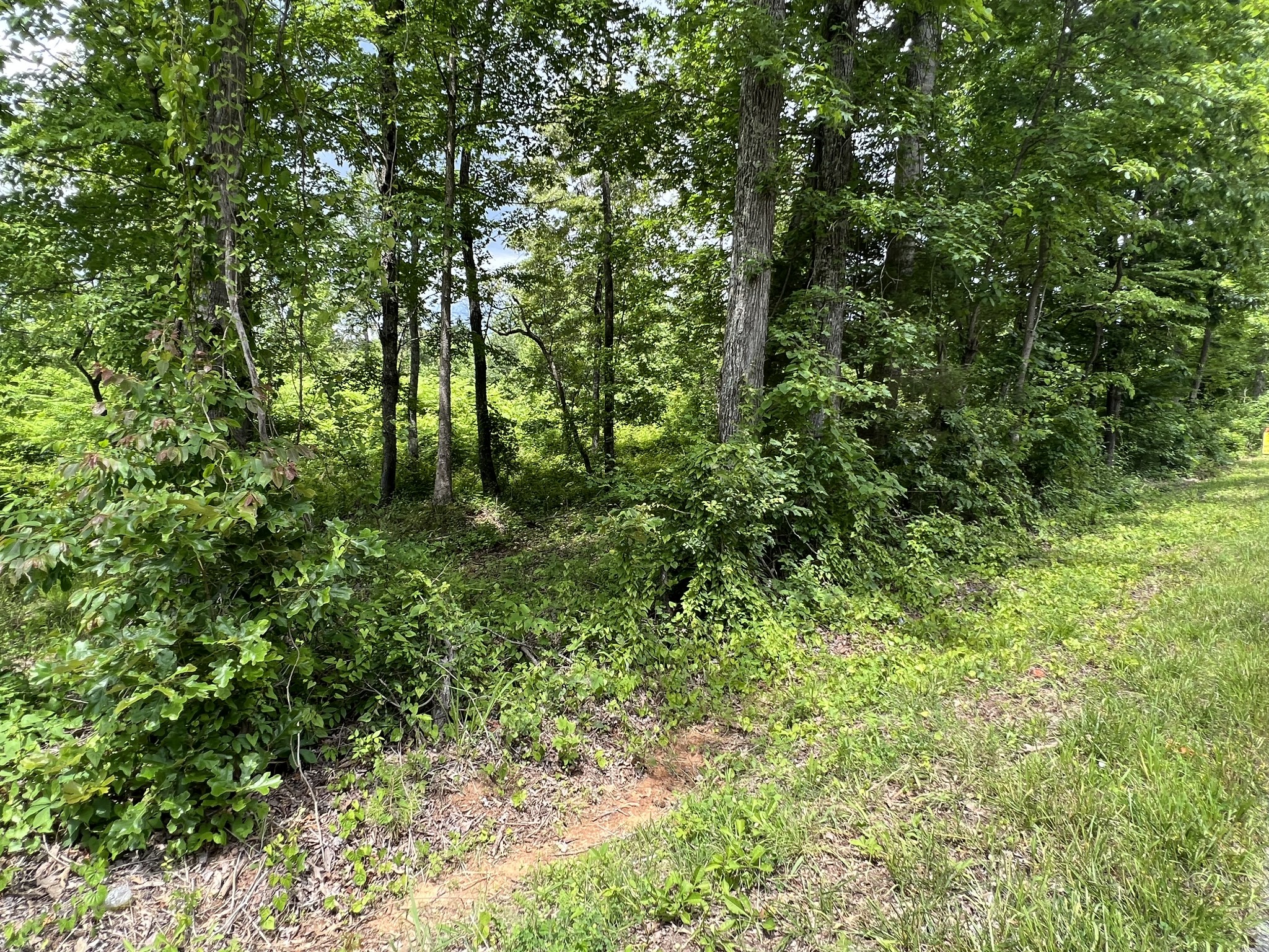 0 Post Oak Road Belvidere, TN 37306 - Photo 12 of 15 Gallery Image 12