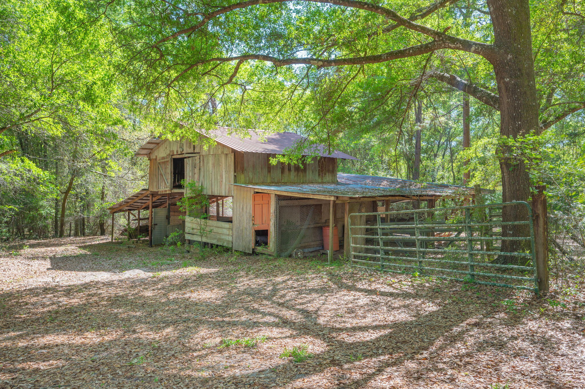 5630 Buckward Road Baker, FL 32531 - Photo 41 of 46 45-web-or-mls-5630-buck-ward-rd