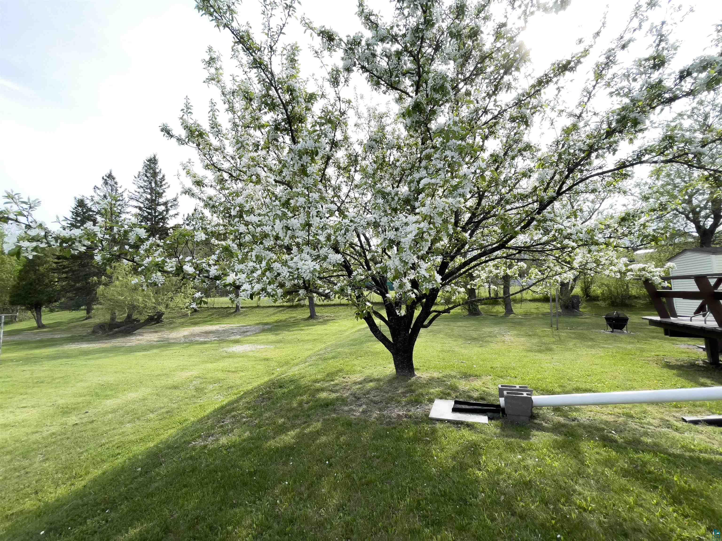 41 Bell Creek Silver Bay, MN 55614 - Photo 31 of 38