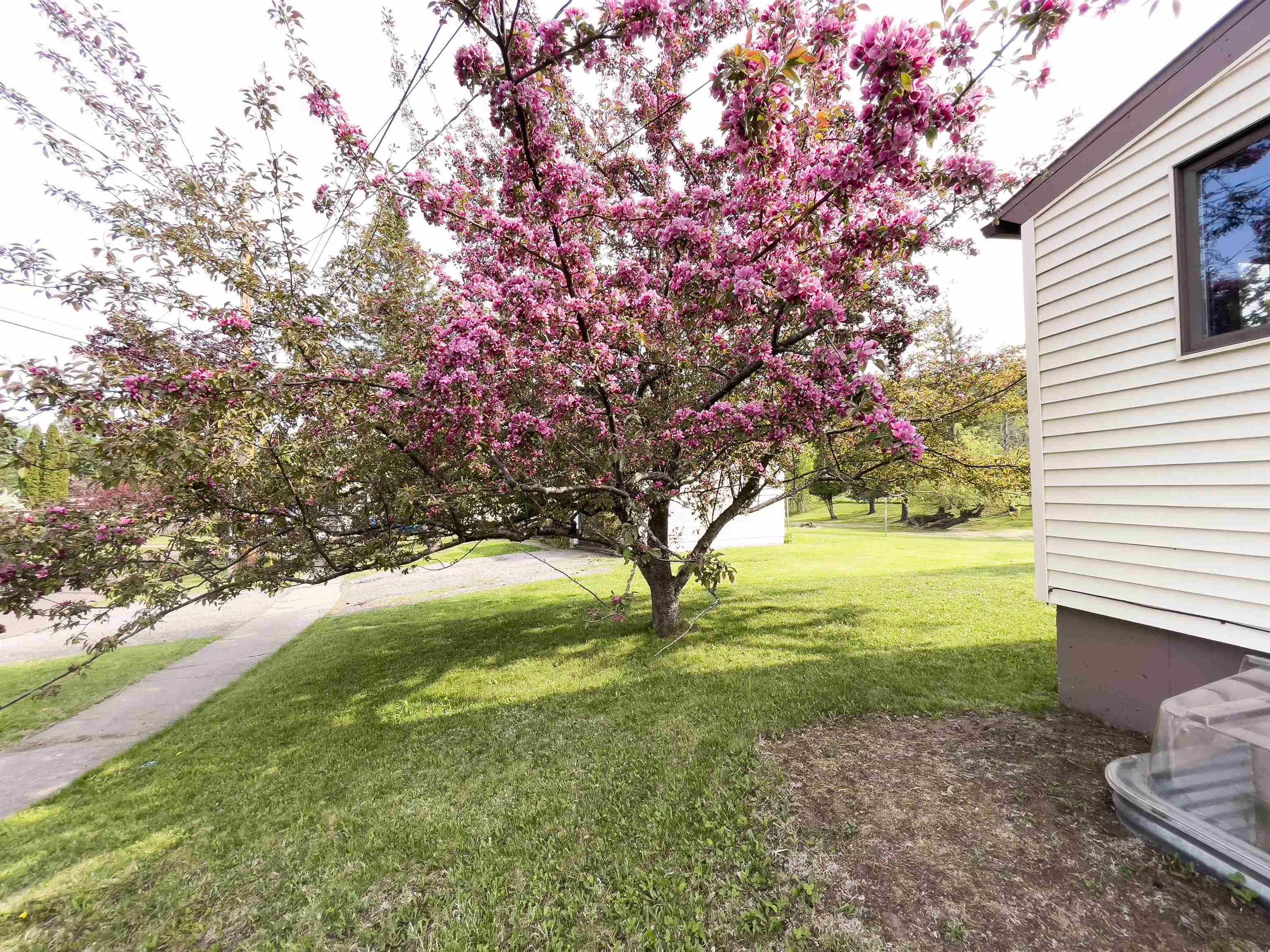 41 Bell Creek Silver Bay, MN 55614 - Photo 32 of 38