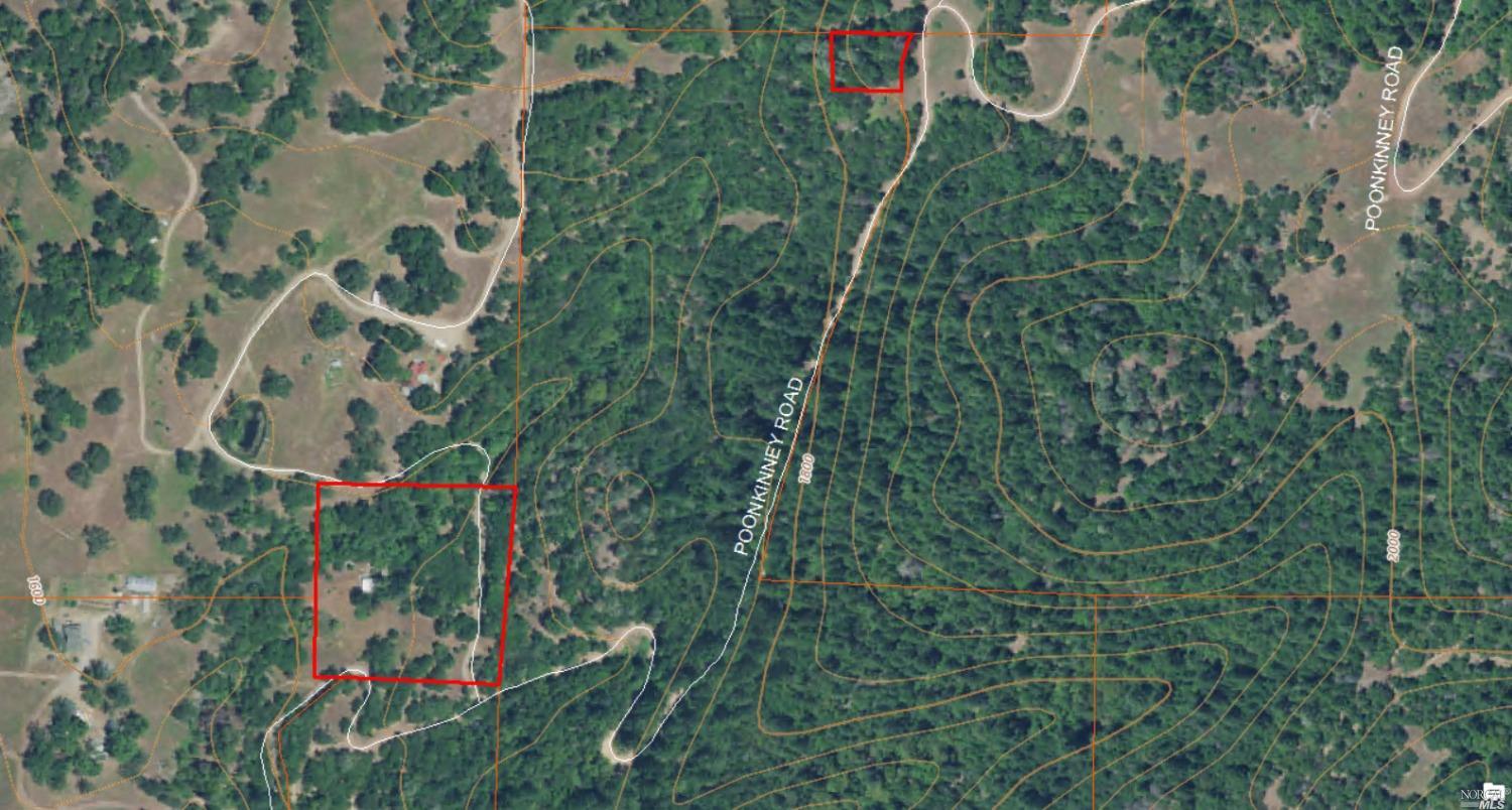 a view of a plant in a garden