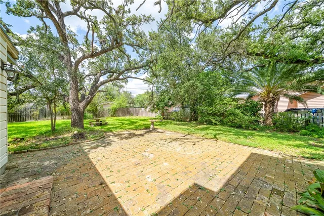 a view of a yard with plants and trees