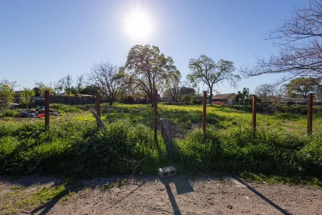 a view of a garden with a bench in a lake