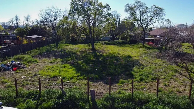 a view of a garden with flowers and trees