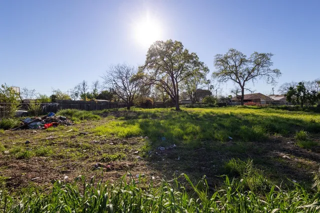 a view of a garden with a lake