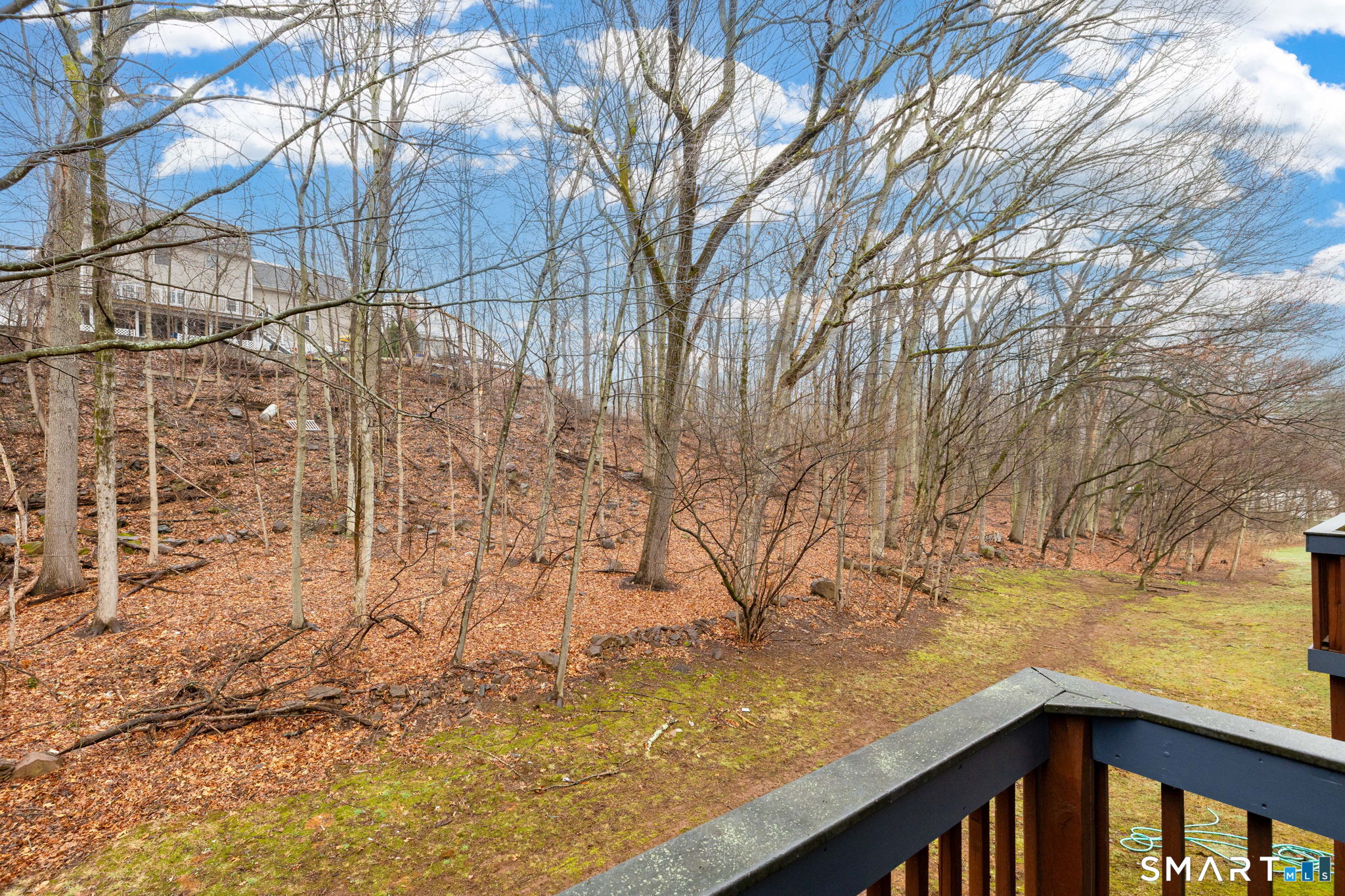 67 Woodland Ridge, Unit 67 Meriden, CT 06450 - Photo 33 of 33 a view of a yard with iron fence