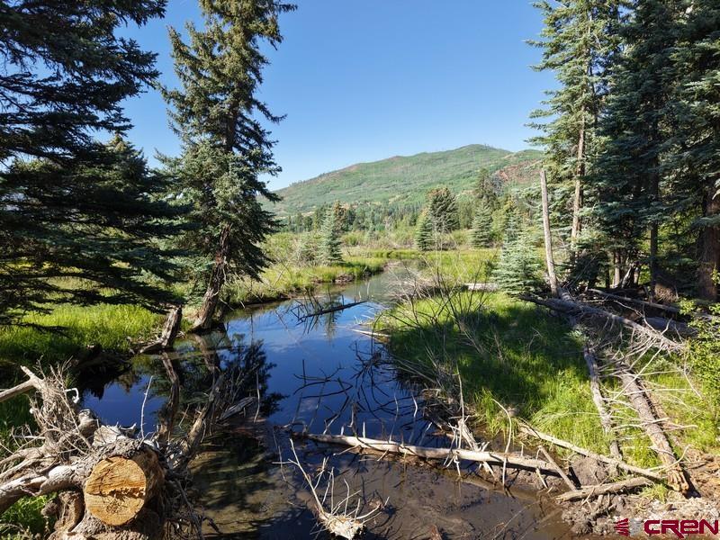 201 Golden Forest Road Bayfield, CO 81122 - Photo 31 of 37