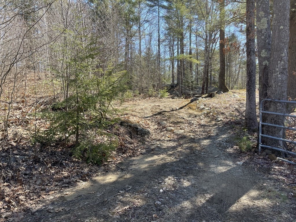 0 Fairman Road Orange, MA 01364 - Photo 11 of 17 a view of a yard with trees