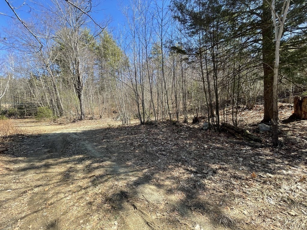0 Fairman Road Orange, MA 01364 - Photo 8 of 17 a view of dirt field with trees