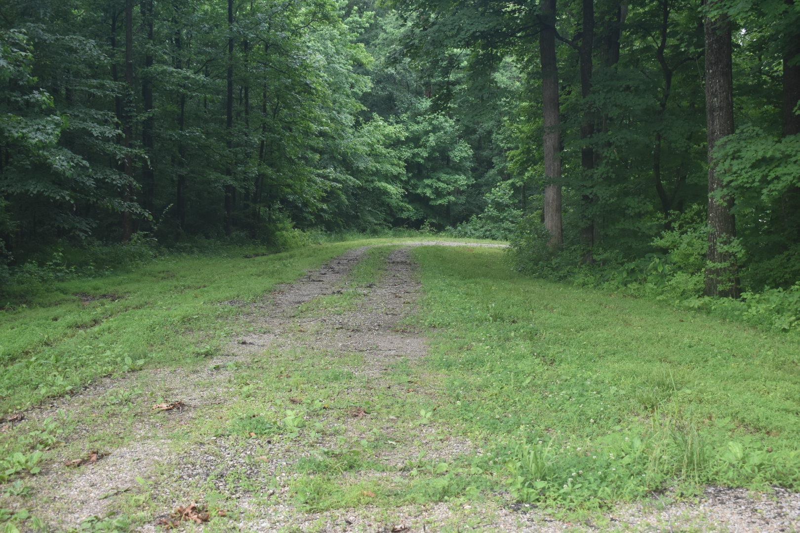 North Carithers Road Princeton, IN 47670 - Photo 4 of 9 Gallery Image 4