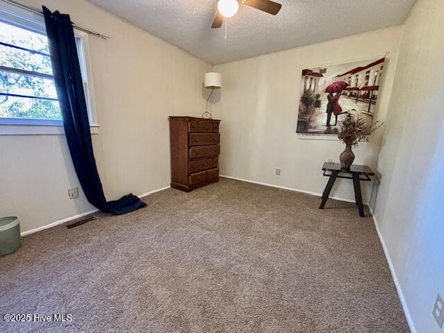 145 Riggs Avenue Jacksonville, NC 28540 - Photo 19 of 35 IMG_6837