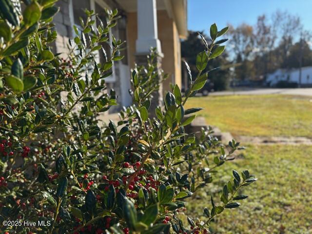 145 Riggs Avenue Jacksonville, NC 28540 - Photo 35 of 35 IMG_6853