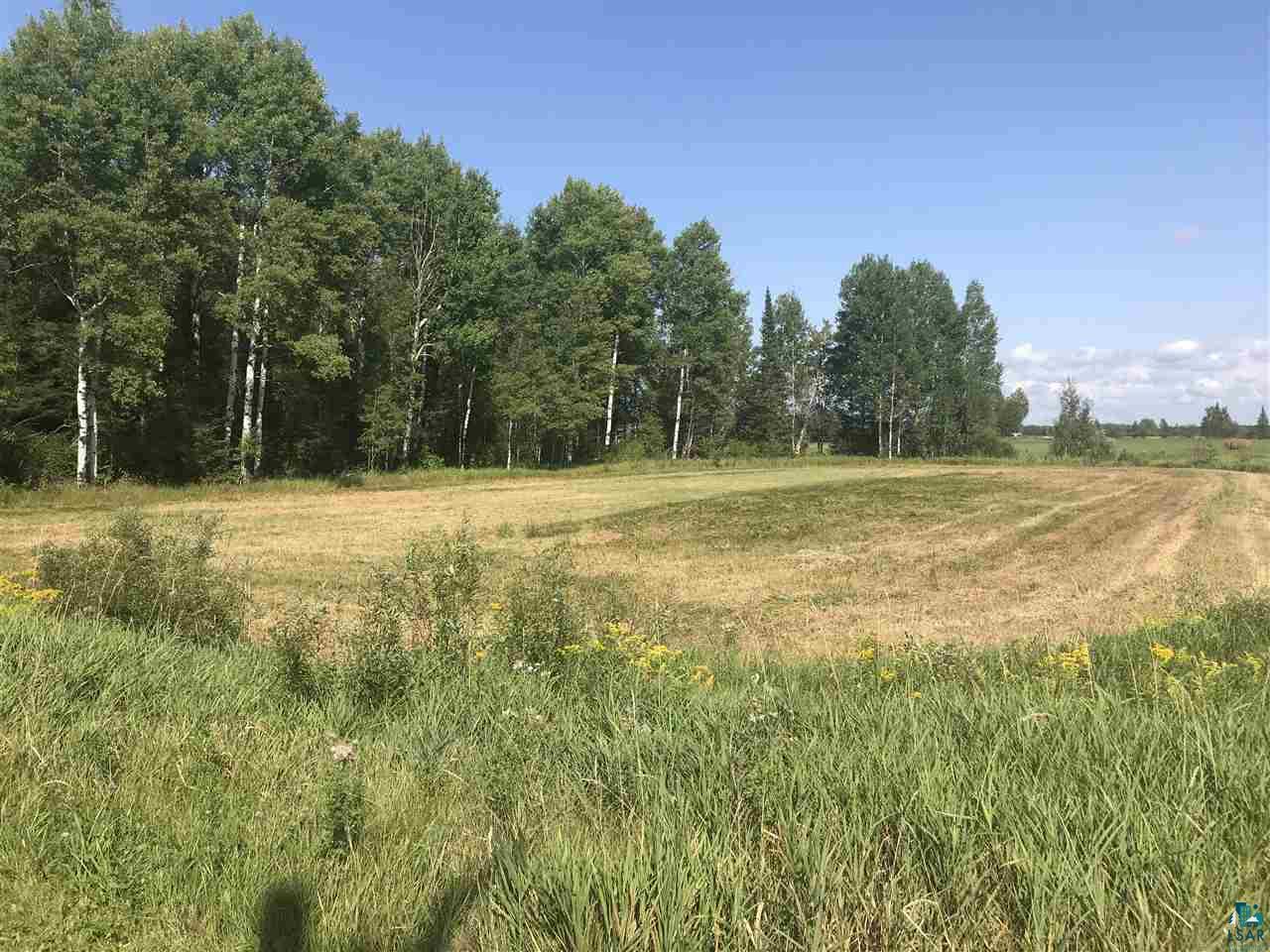 Lot 4 Mud Hen Road Makinen, MN 55763 - Photo 3 of 6