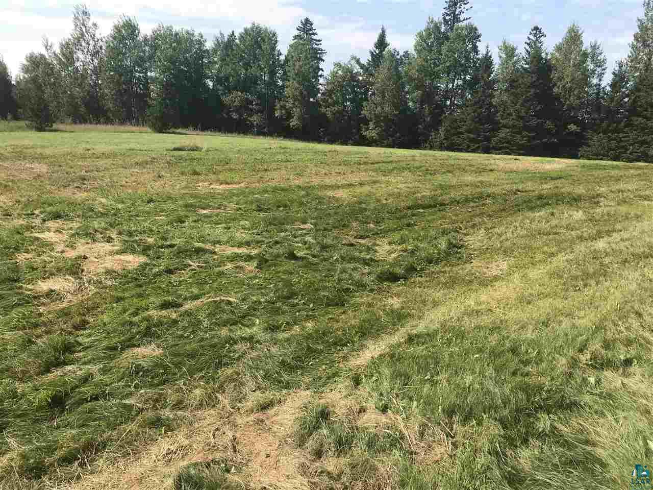 Lot 4 Mud Hen Road Makinen, MN 55763 - Photo 5 of 6