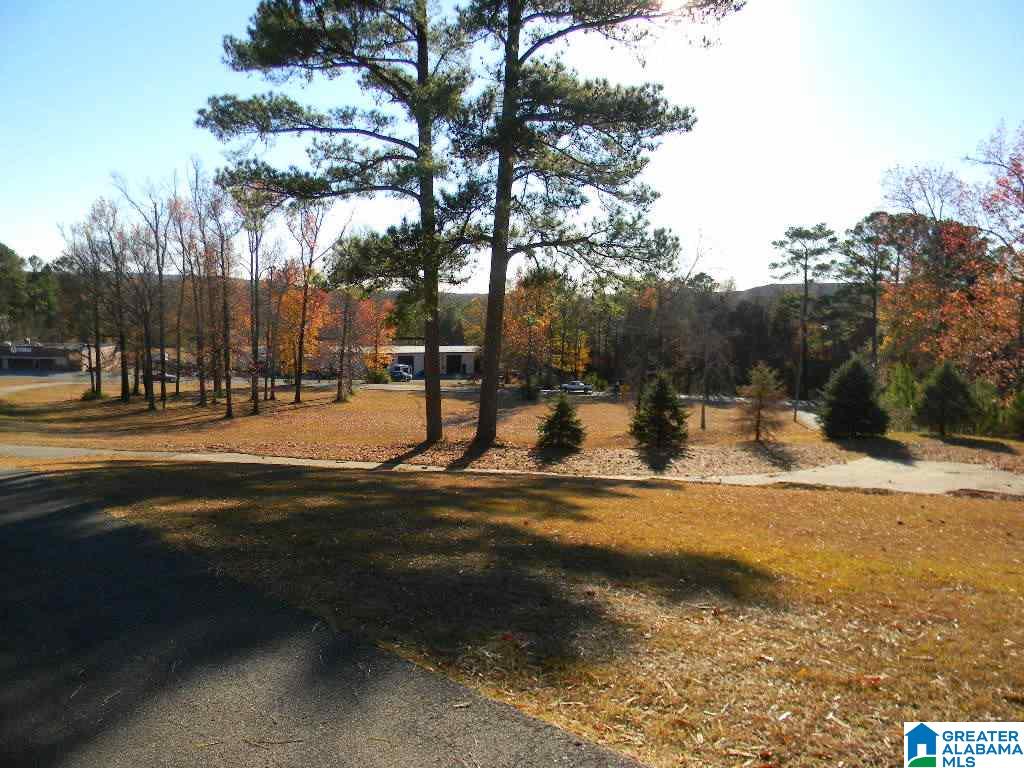 3344 Warrior River Road Bessemer, AL 35023 - Photo 28 of 28