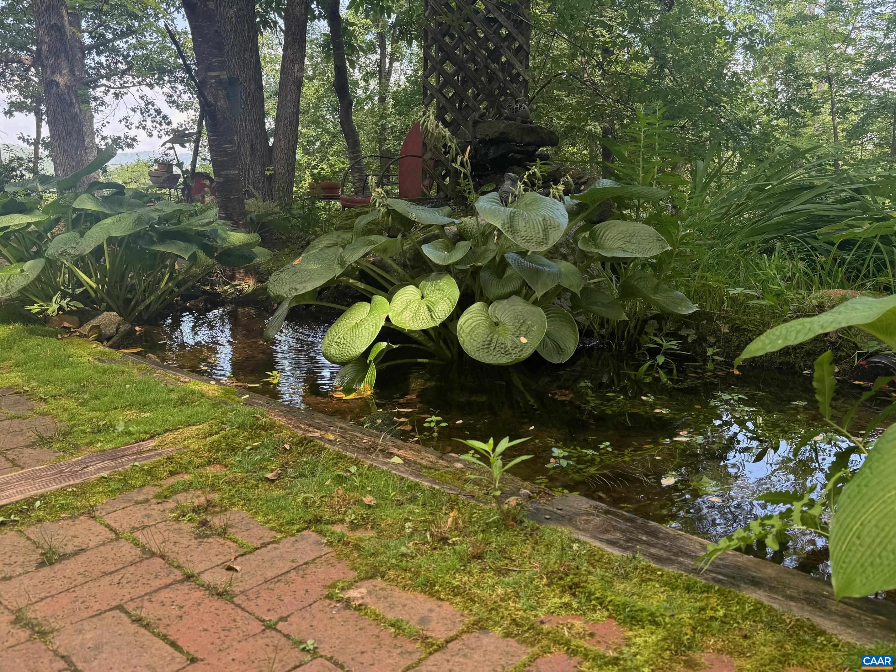 1950 Locust Hollow Road Charlottesville, VA 22903 - Photo 13 of 54 a backyard of a house with lots of green space