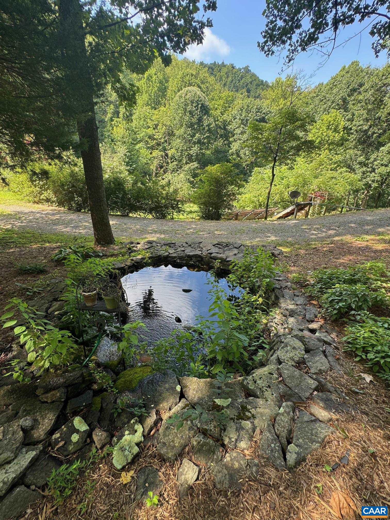 1950 Locust Hollow Road Charlottesville, VA 22903 - Photo 34 of 54 a view of a tree with a yard