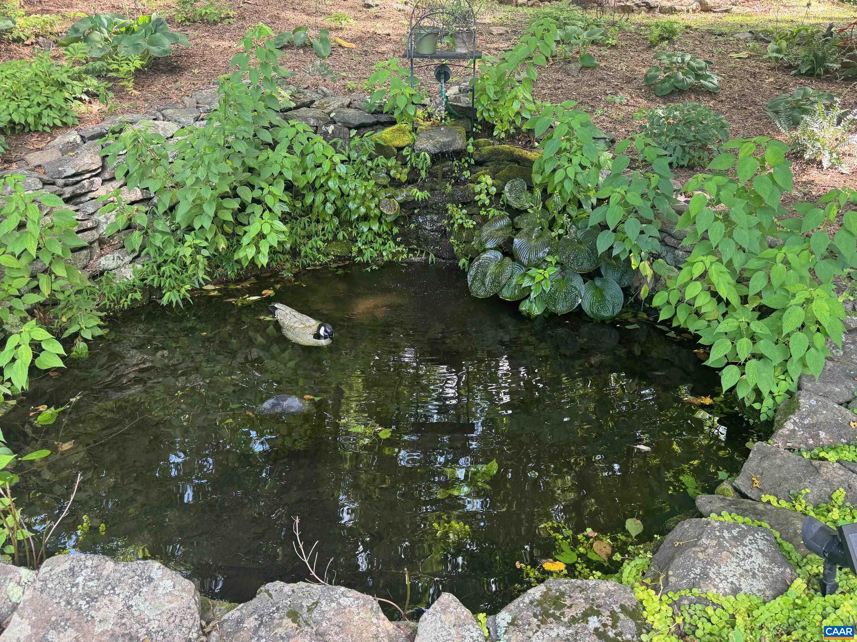 1950 Locust Hollow Road Charlottesville, VA 22903 - Photo 36 of 54 a backyard of a house with lots of green space