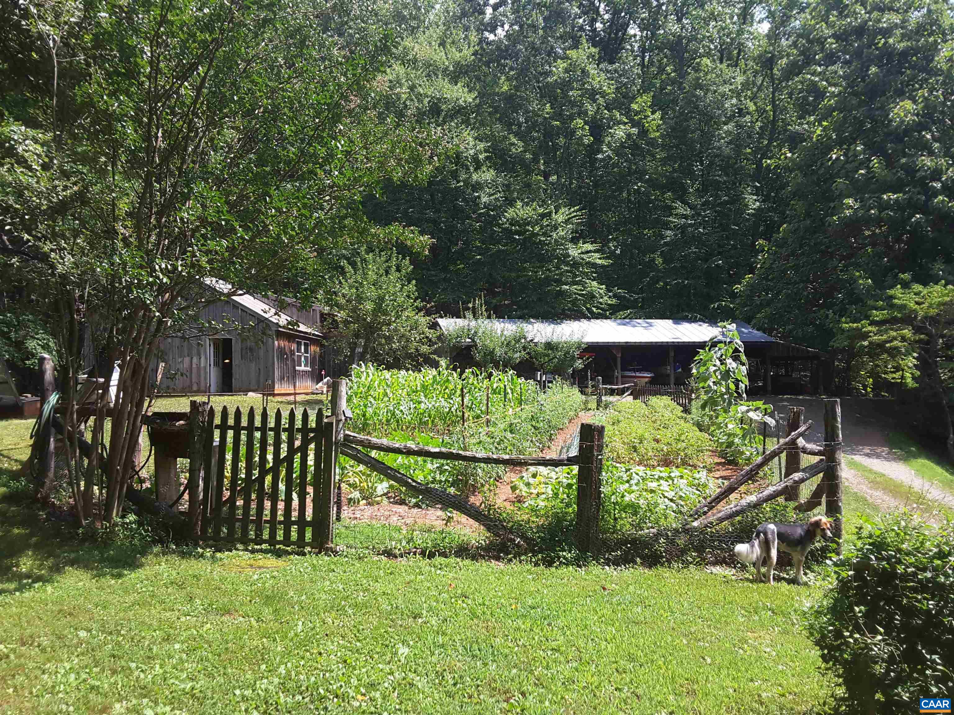 1950 Locust Hollow Road Charlottesville, VA 22903 - Photo 39 of 54 a view of a garden with a plants and trees