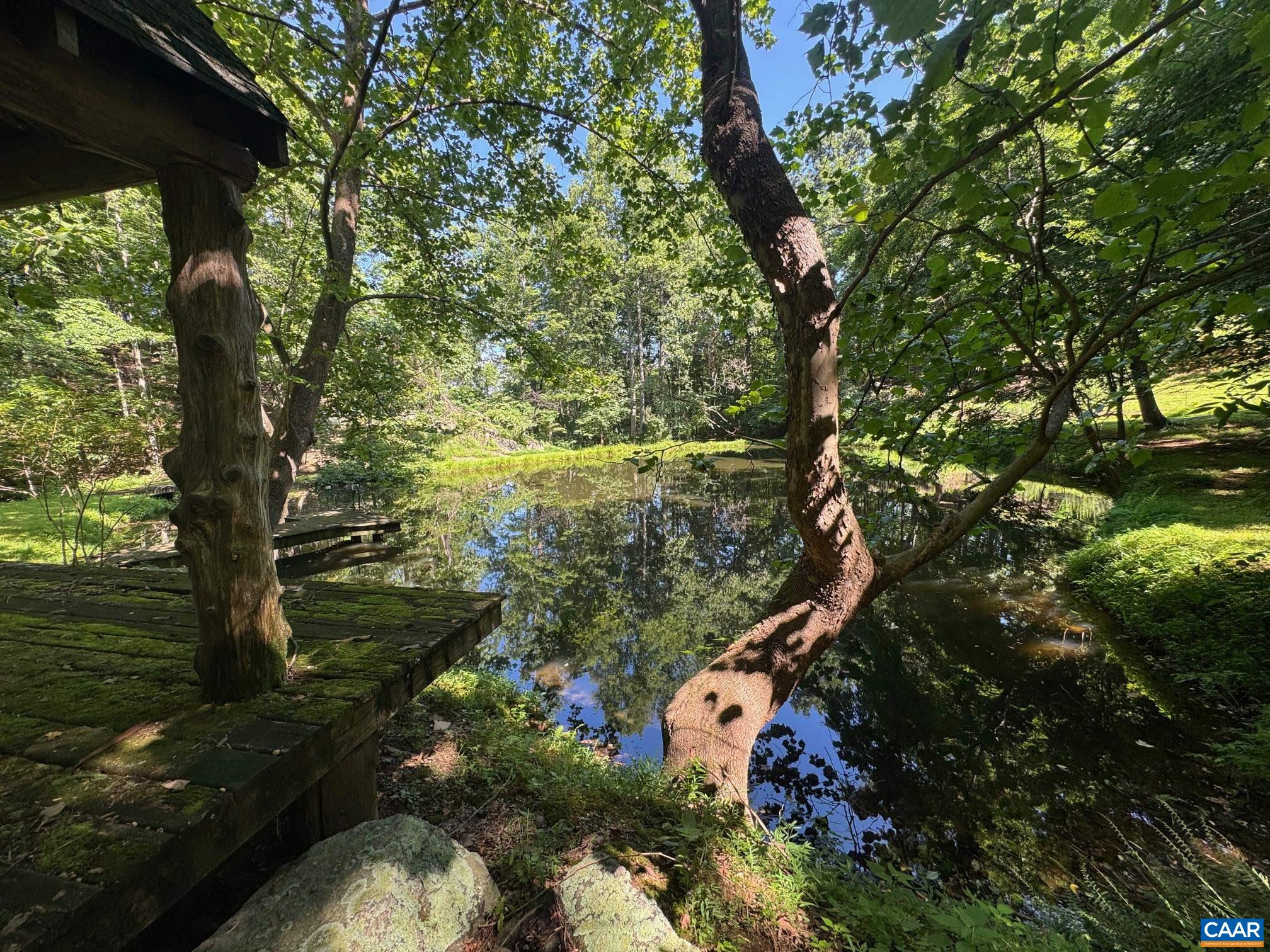 1950 Locust Hollow Road Charlottesville, VA 22903 - Photo 44 of 54 a picture of trees