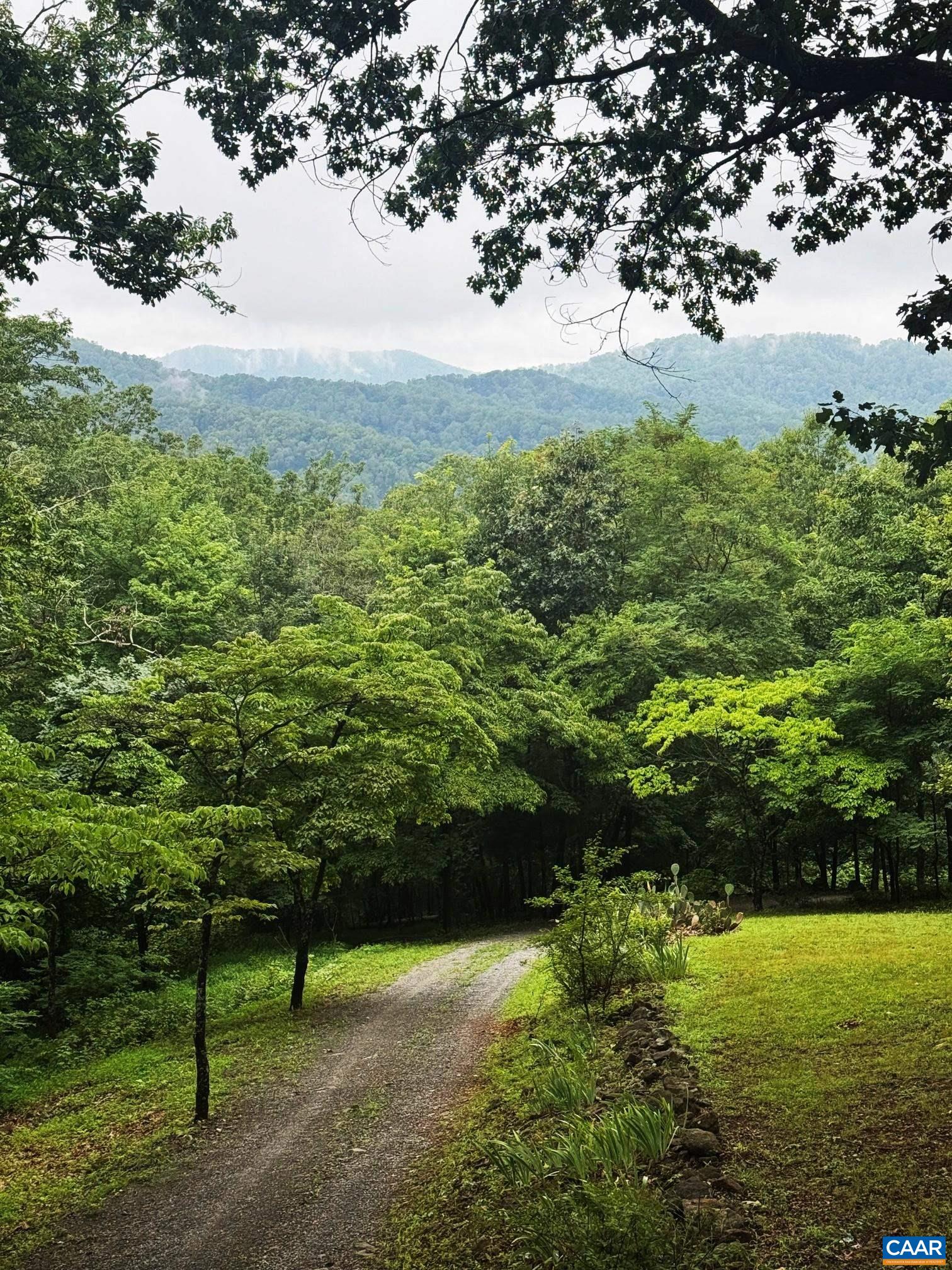 1950 Locust Hollow Road Charlottesville, VA 22903 - Photo 52 of 54