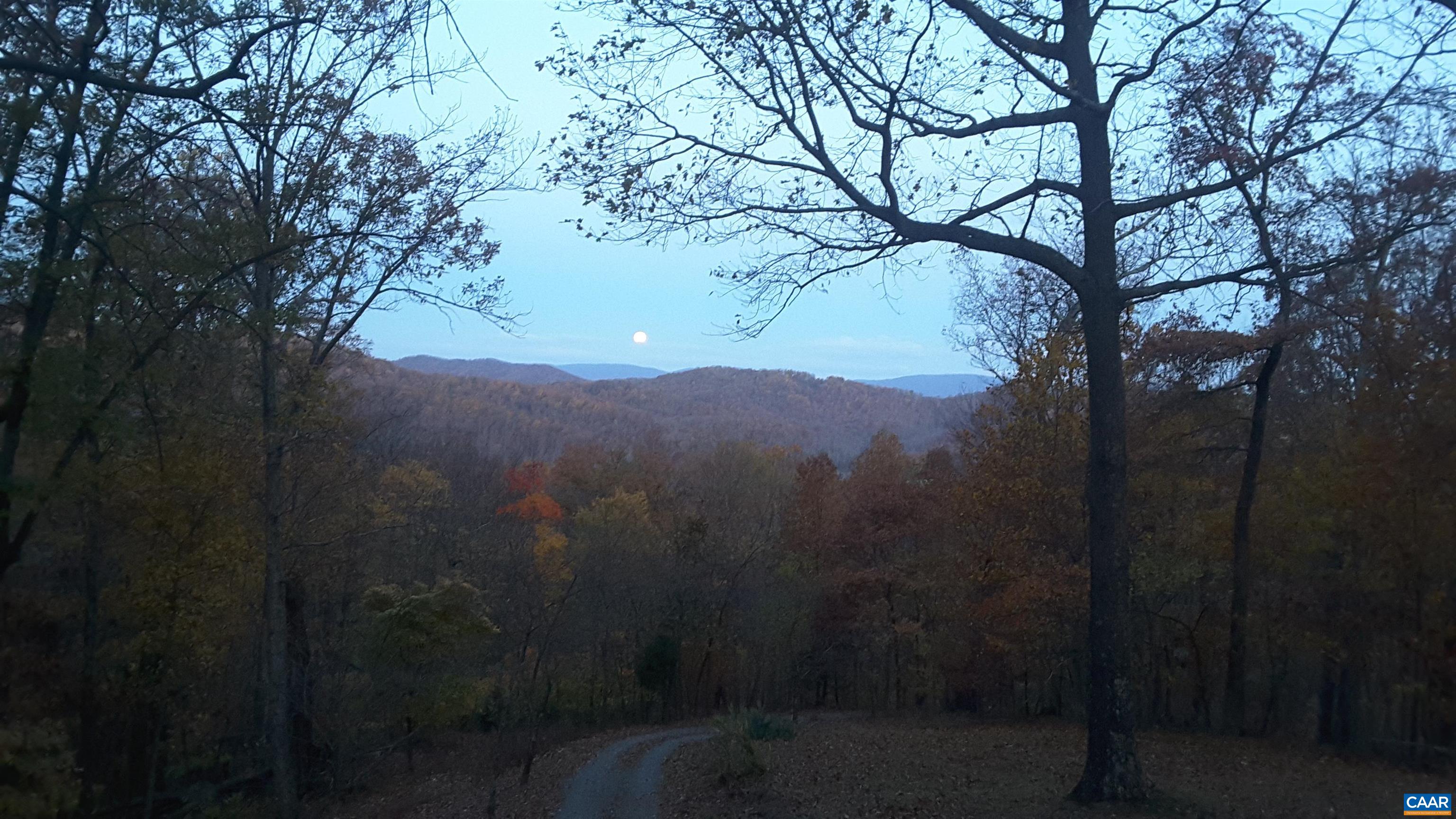 1950 Locust Hollow Road Charlottesville, VA 22903 - Photo 53 of 54 a view of mountain view with lots of trees