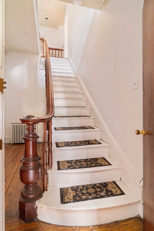 18 Westminster Avenue Boston, MA 02119 - Photo 17 of 37 a view of entryway and hall