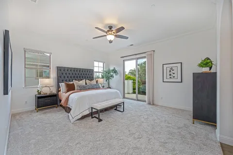 a view of a garden with trees