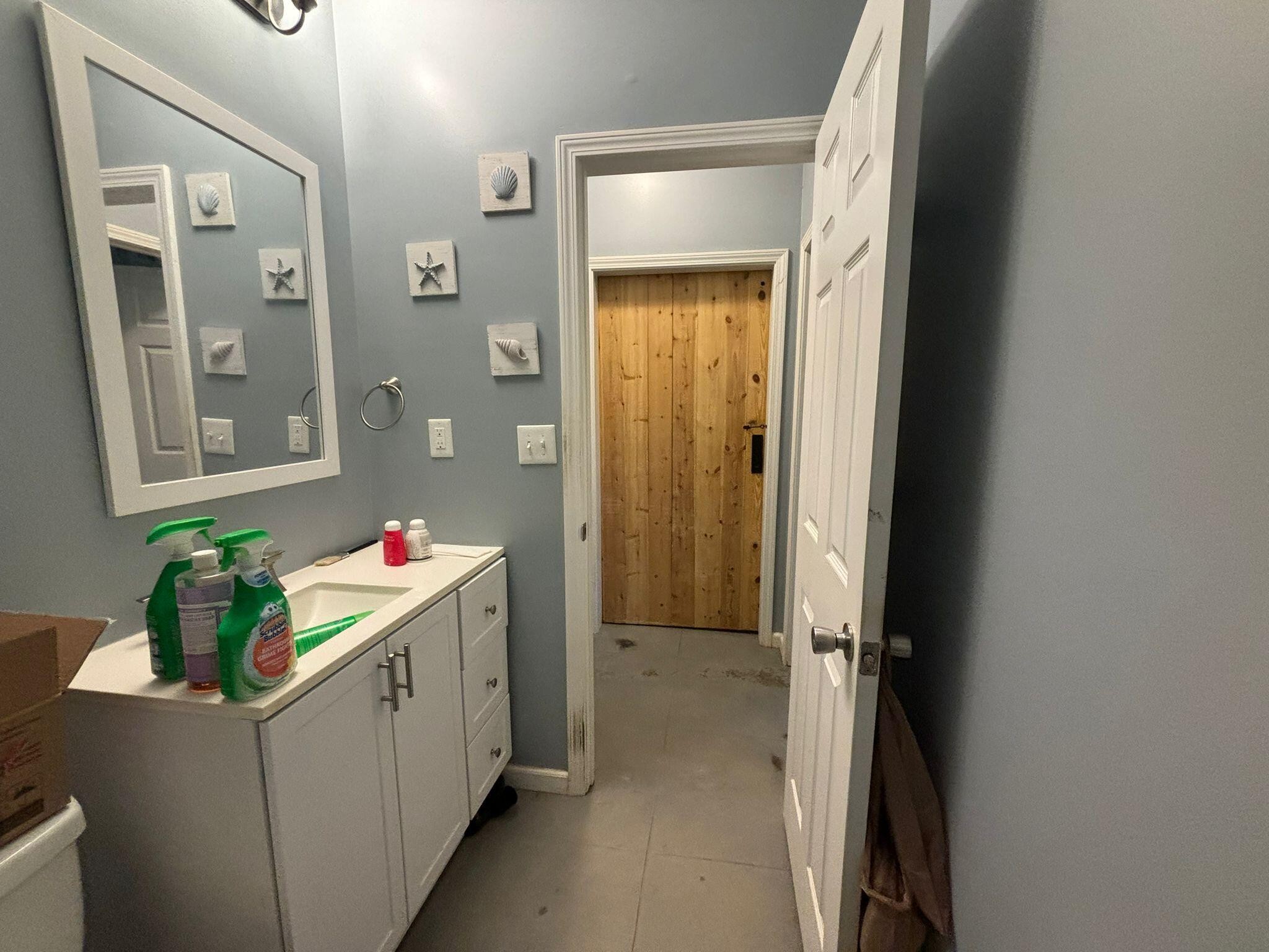 1919 Campground Road Drummonds, TN 38023 - Photo 22 of 47 a bathroom with a sink mirror and a bath tub