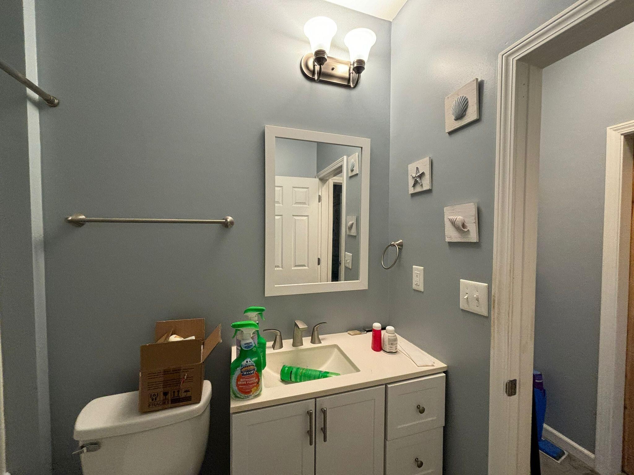 1919 Campground Road Drummonds, TN 38023 - Photo 23 of 47 a bathroom with a sink mirror vanity and toilet