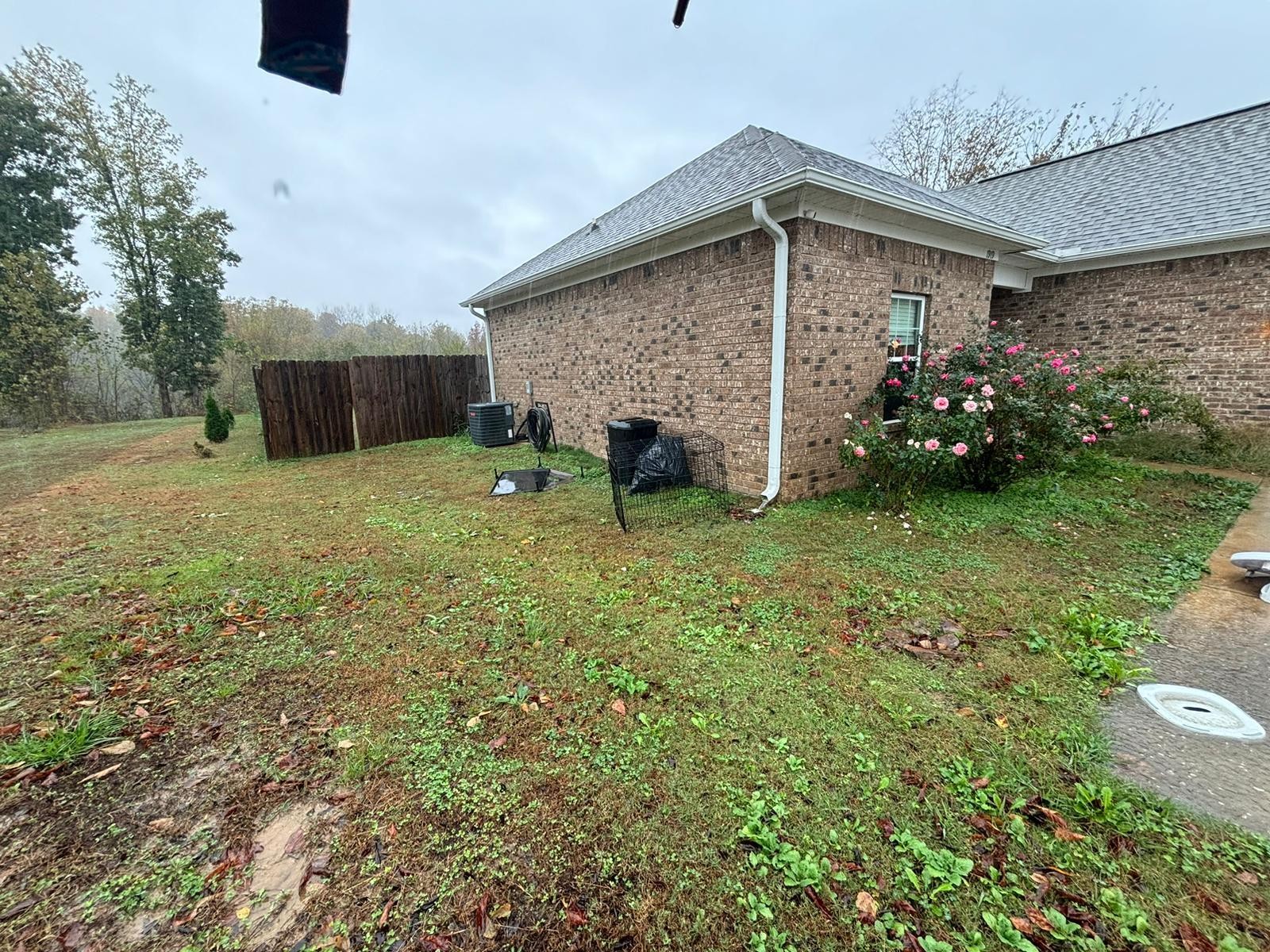 1919 Campground Road Drummonds, TN 38023 - Photo 31 of 47 a view of a backyard with potted plants