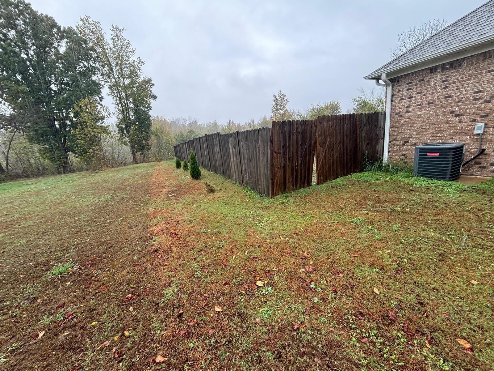 1919 Campground Road Drummonds, TN 38023 - Photo 34 of 47 a view of a backyard with wooden fence