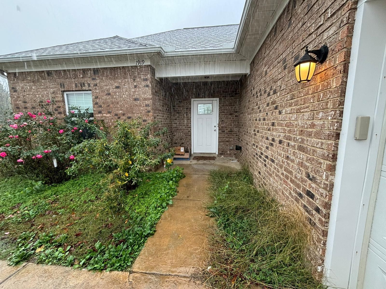 1919 Campground Road Drummonds, TN 38023 - Photo 38 of 47 a view of a pathway both side of house