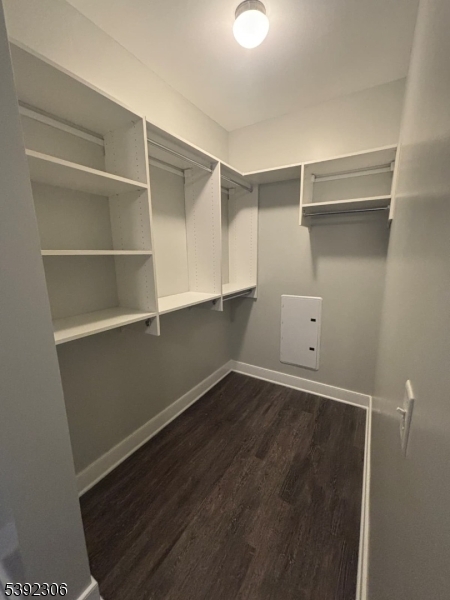 241 Ridge Road North Arlington, NJ 07031 - Photo 9 of 14 a view of an empty walk in closet